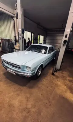 Mustang V8, Bj.65 Gabriel .webp