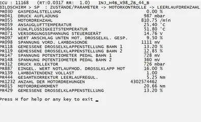 pyr_02.webp