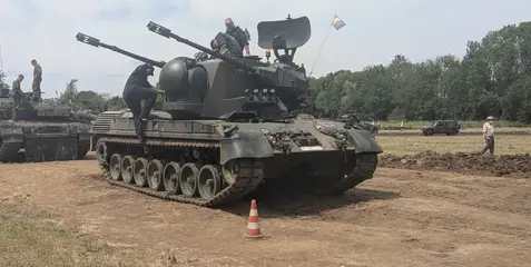 Gepard.webp