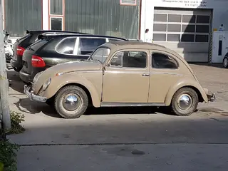 VW-Ovali_1.webp