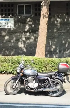 350-er .webp