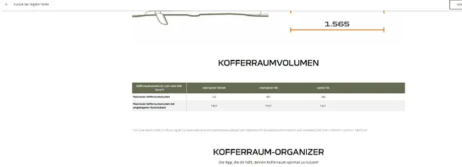 Bigster Kofferraum.webp