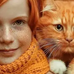 Orange.webp