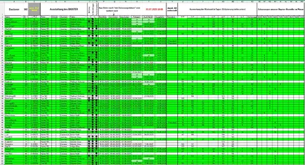 Bestellung_Bigster_030725_T1_.webp