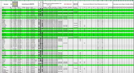 Bestellung_Bigster_030725_T2_.webp