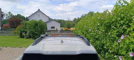 1000071162.webp