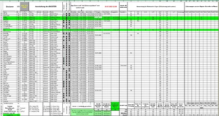 Bestellung_Bigster_200725_T3_.webp
