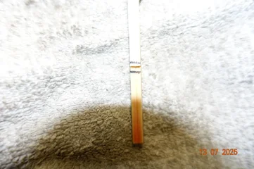 DSC01979.webp