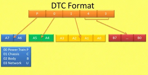 DTCformat.webp