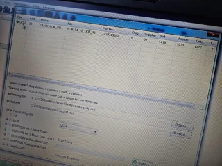 renolink1.webp