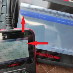 4.webp