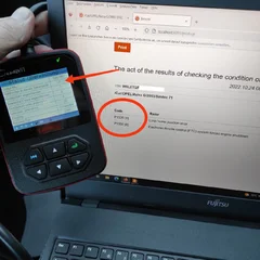 6.webp