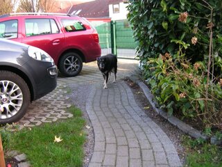 PICT0503.jpg