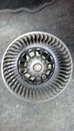 IMG_20160330_160557656.jpg