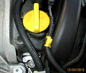 IMG_8122.jpg