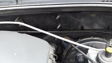 IMG_20160418_174522.jpg