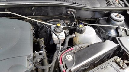 IMG_20160418_174327.jpg