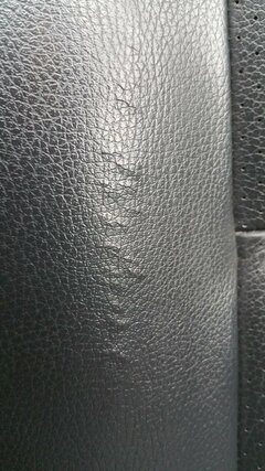 20160321_073803.jpg