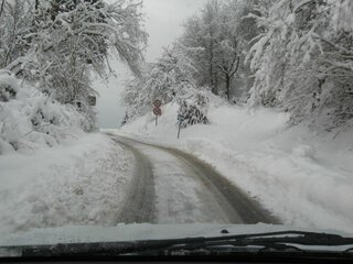 Winter.jpg