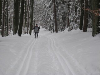 Langlauf.jpg