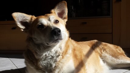Luna mittel.jpg