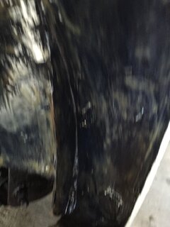 ImageUploadedByTapatalk1468088869.298796.jpg