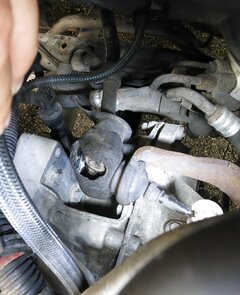 IMG_5411klein2.JPG