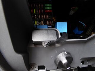 P1000306.jpg