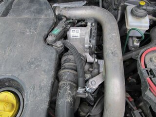 K1024_IMG_0657.JPG