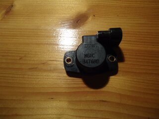 DSC03316 (Large).JPG