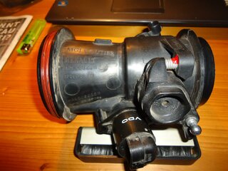 DSC03315 (Large).JPG