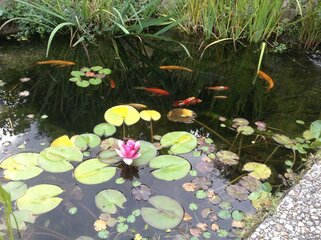 IMG_0107 (Copy).jpg