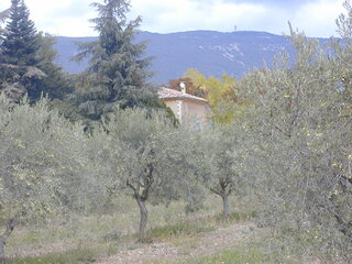 EPSN0119.jpg