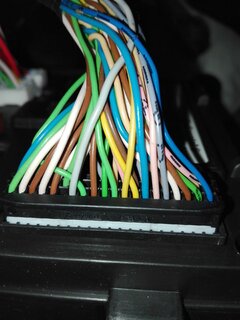 Mein Stecker UCH.jpg