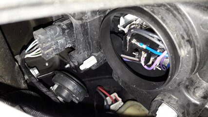 20161116_080630-2.jpg