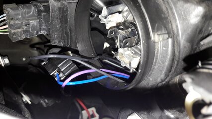 20161116_081542-5.jpg