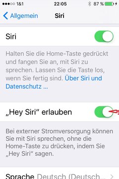 SIRI.jpg