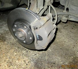 IMG_8964.JPG