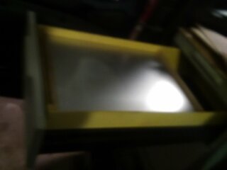 IMG_20170104_121717.jpg