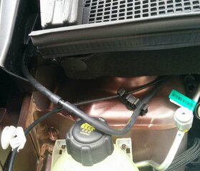 IMG_20170203_113211.jpg