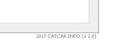 catcar.jpg