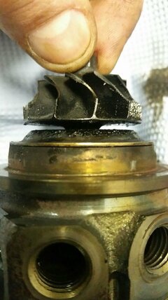IMG-20170218-WA0000.jpg