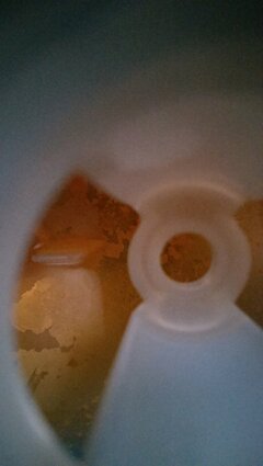 IMAG0850.jpg