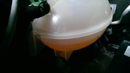 IMAG0849-1.jpg