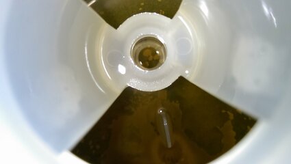 IMAG0851.jpg