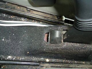 DSC03445 (Medium).JPG