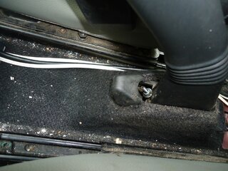 DSC03446 (Medium).JPG