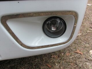 IMG_1155.jpg IMG_1155.jpg