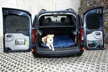 hundegitter01.jpg