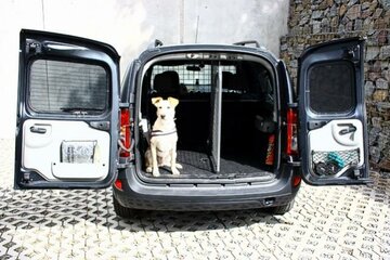 hundegitter06.jpg